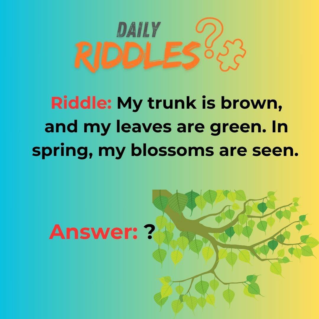 150 Tree Riddles to Grow Your Brainpower - Daily Riddles